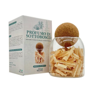 Diffusore in vetro “Profumo di Sottobosco”