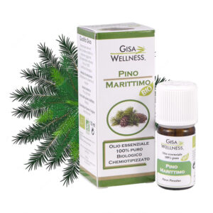 Olio Essenziale Bio di Pino Marittimo (Pinus Pinaster)