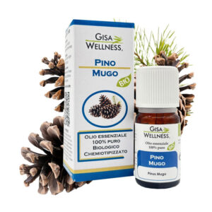 Olio Essenziale Bio di Pino Mugo (Pinus Mugo)